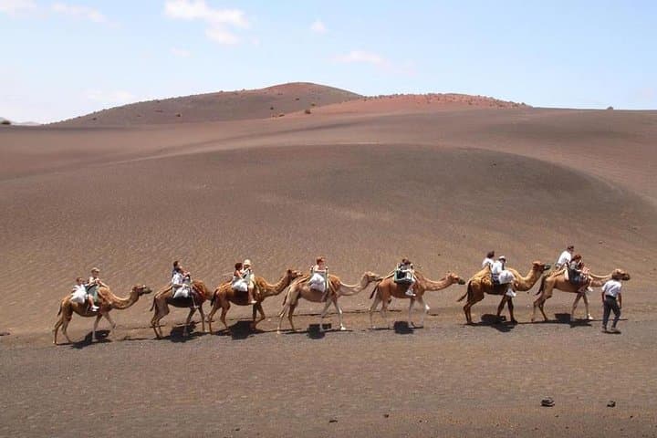 Full-Day Timanfaya, Green Lagoon & La Geria Tour from Lanzarote photo 5