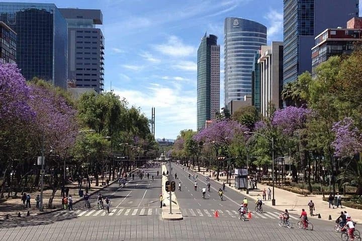 Mexico City Ultimate Small-Group Sightseeing Tour: Zócalo, Cathedral & Anthropology Museum photo 2