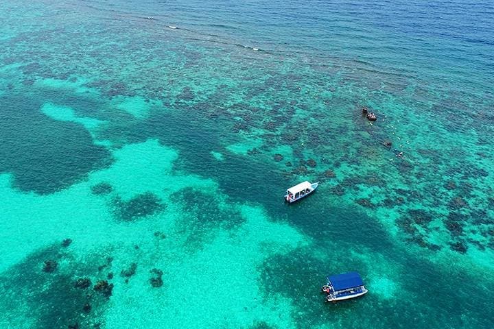 Roatán North Side Mangroves, Shipwreck & Starfish Snorkel Tour photo 2