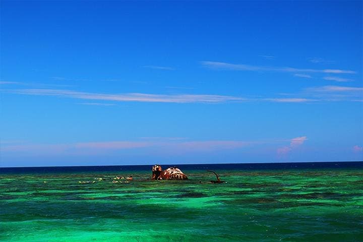 Roatán North Side Mangroves, Shipwreck & Starfish Snorkel Tour photo 3