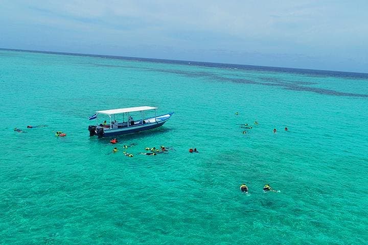 Roatán North Side Mangroves, Shipwreck & Starfish Snorkel Tour photo 4