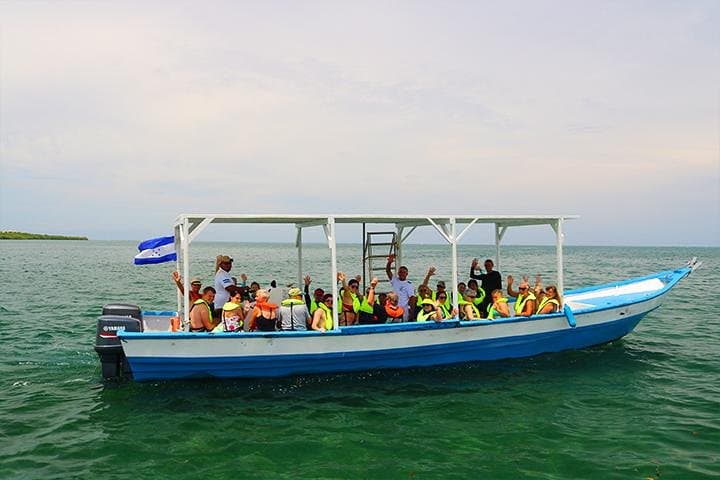 Roatán North Side Mangroves, Shipwreck & Starfish Snorkel Tour photo 5