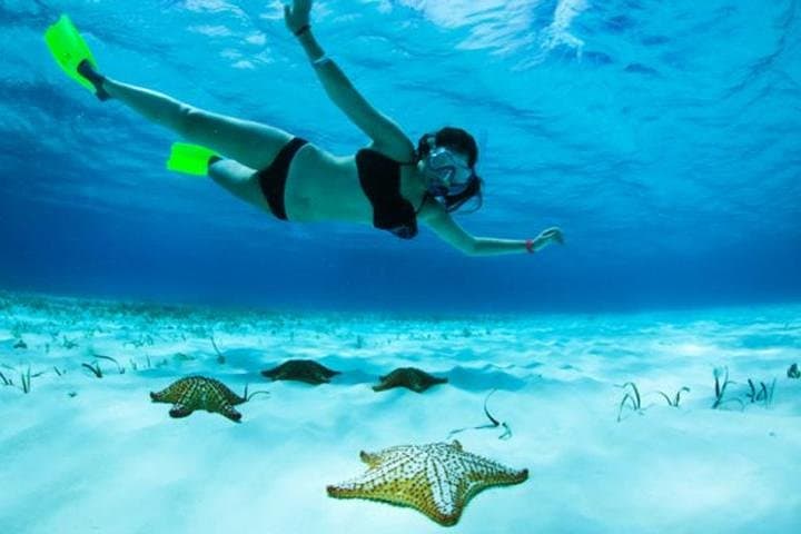 Roatán North Side Mangroves, Shipwreck & Starfish Snorkel Tour