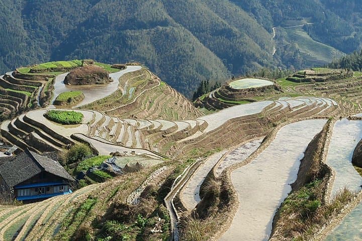 Two-Day Private Longji Rice Terrace Escape: Ping'an & Dazhai Villages photo 6