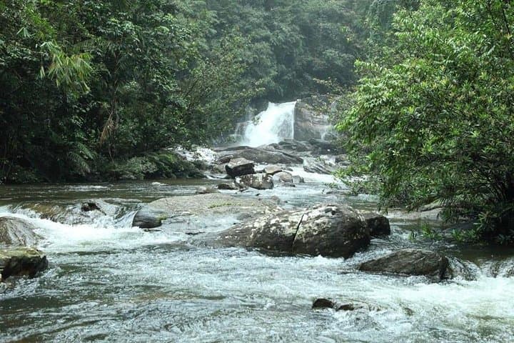 Explore Sinharaja Rainforest: Six Waterfalls Full-Day Hike