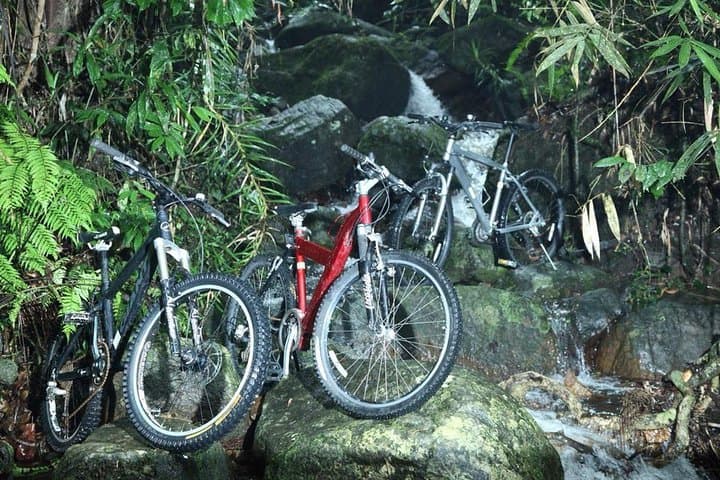Explore Sinharaja Rainforest: Six Waterfalls Full-Day Hike photo 2