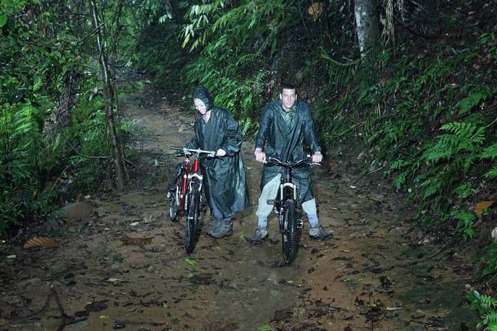 Sinharaja Rainforest Half-Day Discovery Tour: Wildlife, Trails & Practical Tips photo 2
