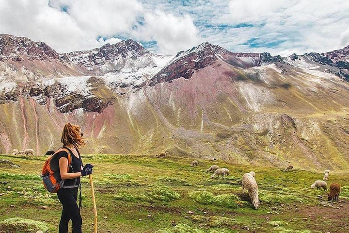 One-Day Vinicunca Rainbow Mountain Trek from Cusco — Short Route, Private Service photo 6