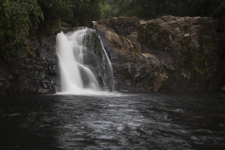 Explore Sinharaja Rainforest: Six Waterfalls Full-Day Hike photo 4