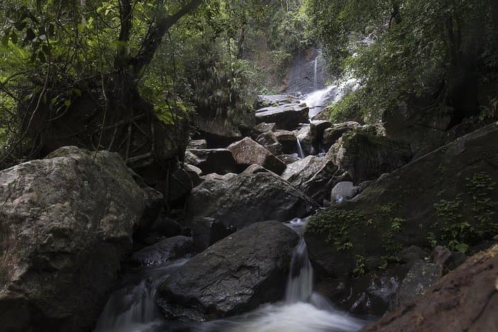 Explore Sinharaja Rainforest: Six Waterfalls Full-Day Hike photo 6