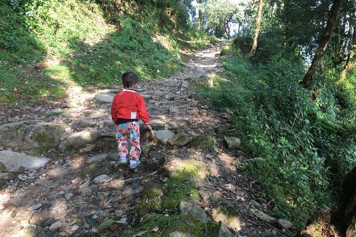 Dhampus to Australian Camp Day Hike — Pokhara Annapurna Views & Gurung Village photo 4