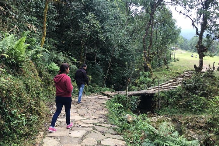 Dhampus to Australian Camp Day Hike — Pokhara Annapurna Views & Gurung Village photo 3