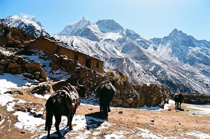 Everest Base Camp Trek: 16-Day Guide — Difficulty, Route & Tips photo 6