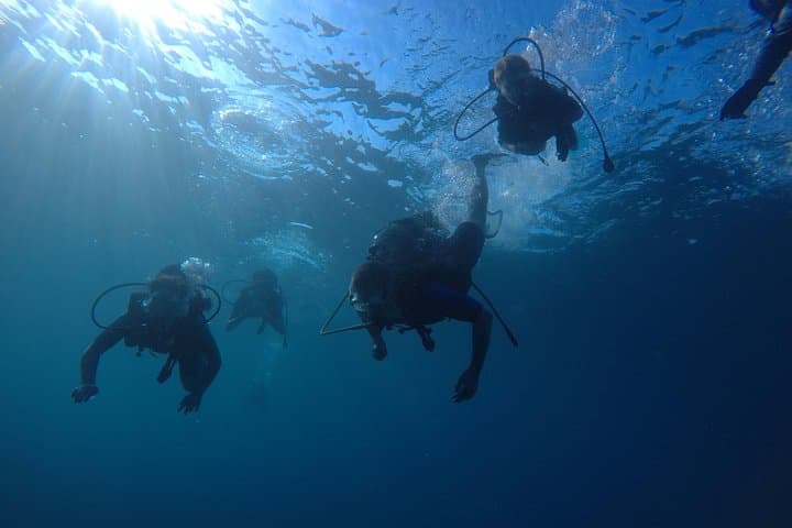 First Sea Dive in Salou: Scuba Diving for Beginners photo 3