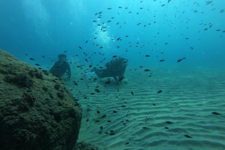 First Sea Dive in Salou: Scuba Diving for Beginners photo 4