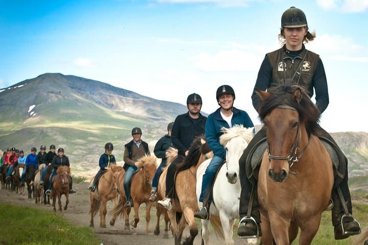 Icelandic Horse Riding Tour from Reykjavik — 3.5-Hour Trek on the Tölt-Ready Horse