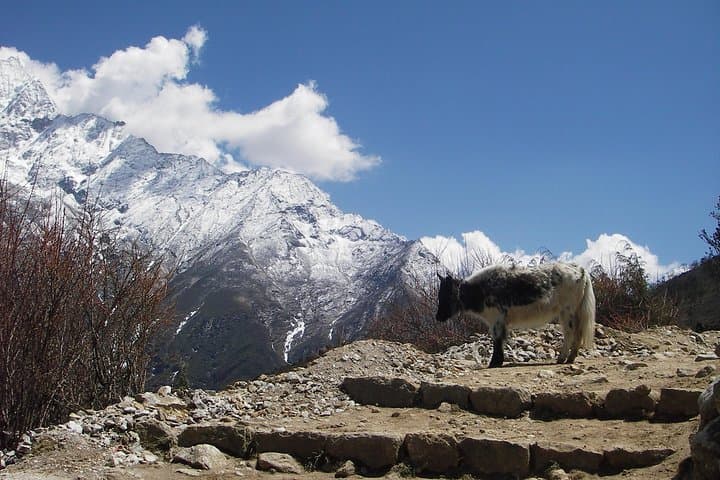 Everest Base Camp, Cho La Pass & Gokyo Lakes Trek: Complete Guide