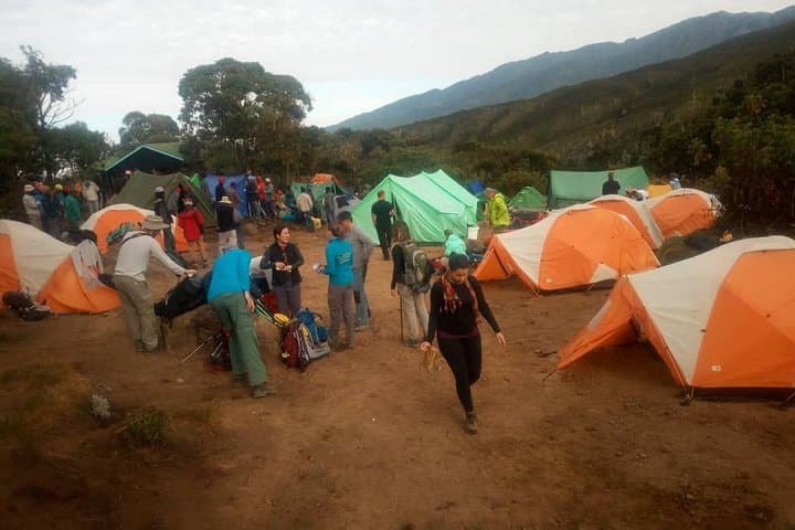 Summit Mount Kilimanjaro in 6 Days: Marangu Route Trek from Moshi photo 2