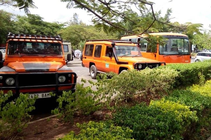 Summit Mount Kilimanjaro in 6 Days: Marangu Route Trek from Moshi