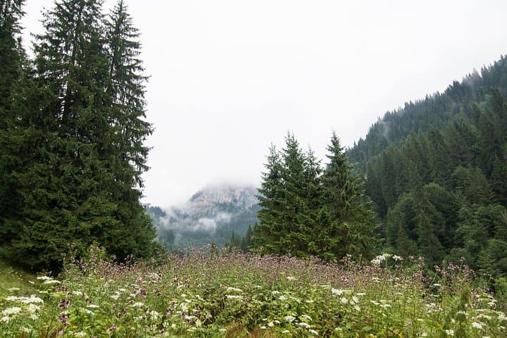 Day Hike to Bucegi: Zanoaga Gorge, Scropoasa Lake & Seven Springs photo 3
