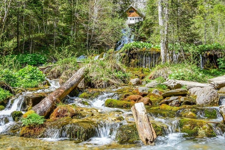 Day Hike to Bucegi: Zanoaga Gorge, Scropoasa Lake & Seven Springs photo 4