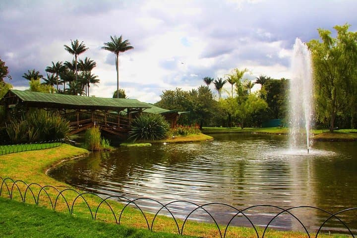 Explore Bogotá's Simón Bolívar: Lake Walks, Rock Music & Urban Wildlife photo 2
