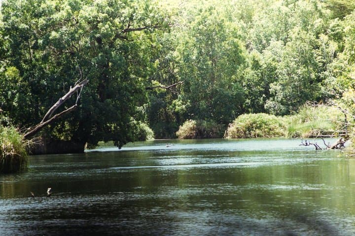 2-Day Mombasa to Tsavo West Safari — Kilaguni Serena, Mzima Springs & Shetani Lava photo 3