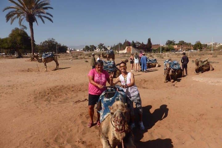 Agadir Dromedary Safari: 2-Hour Camel Ride on the Dunes & Flamingo Flats photo 6