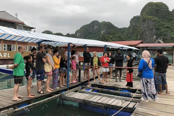 3-Day Lan Ha & Ha Long Bay Cruise with Kayaking and Swimming photo 4