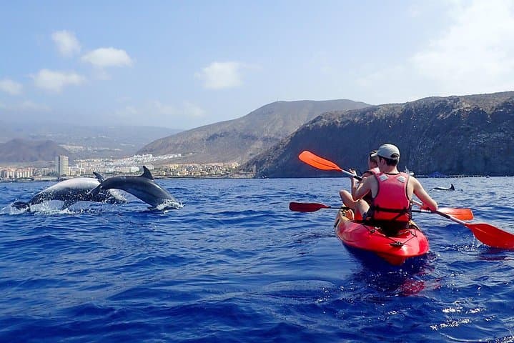 Tenerife Kayak & Snorkel with Dolphins and Turtles — Guaza Coast Adventure photo 3
