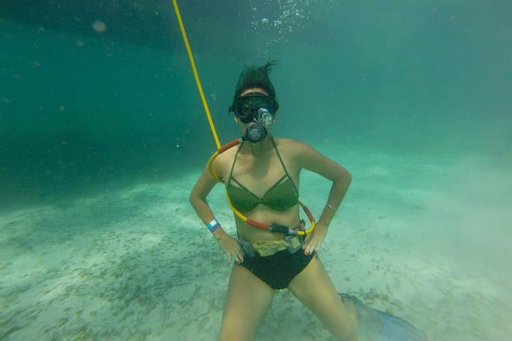 Power Shore Adventure: Catamaran Party, Snorkel & Parasail off Bávaro, Punta Cana photo 5