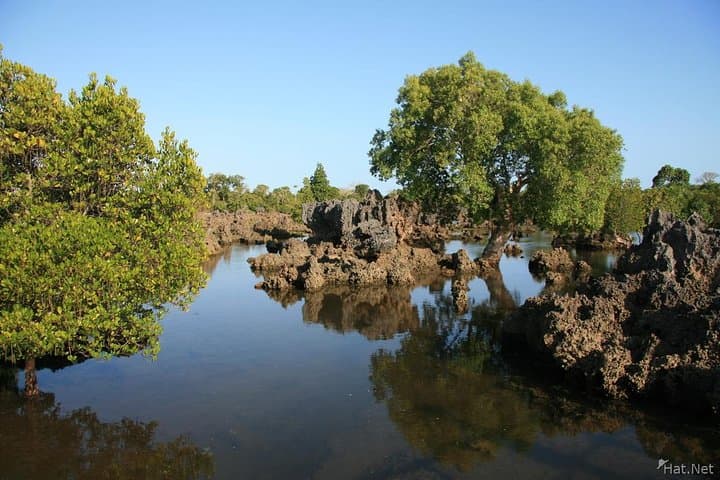 Private Boat Snorkel at Kisite Mpunguti Marine Park — Dolphins, Wasini & Shimoni Caves photo 3