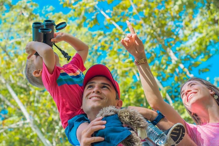 Sloth Watching Tour in La Fortuna — Up-Close Sloth Viewing & Conservation Walk photo 6