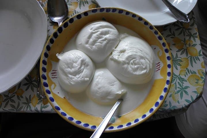 Secrets of the Farm: Buffalo Mozzarella Experience in Umbria photo 2