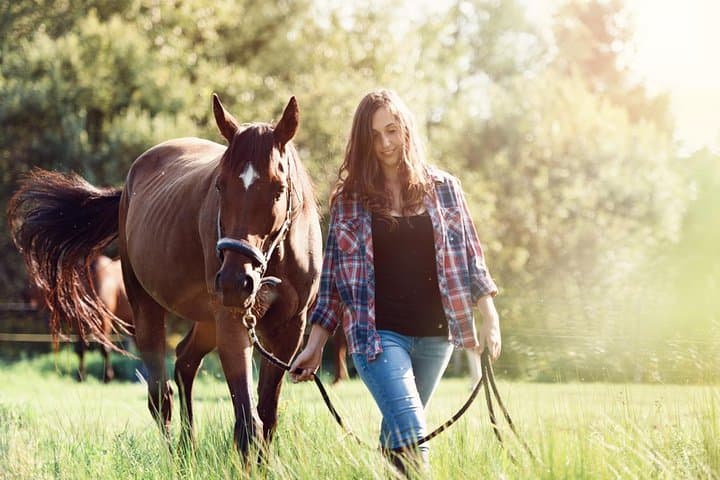 Horseback Riding in Umbria: Countryside Trail Ride with Local Lunch photo 2
