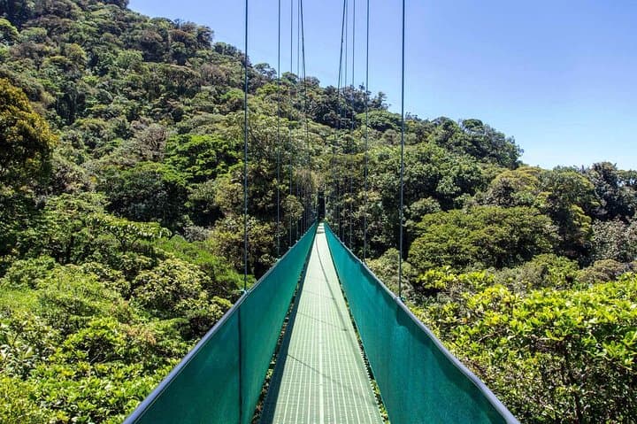 Sky Tram & Hanging Bridges: Monteverde Cloud Forest Day Trip from San José photo 5