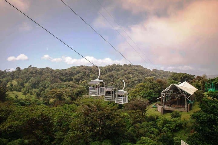 Sky Tram & Hanging Bridges: Monteverde Cloud Forest Day Trip from San José photo 3