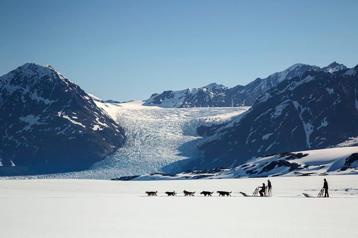 Helicopter Glacier Dogsled Tour with Lower Knik Glacier Landing (Anchorage Area) photo 6