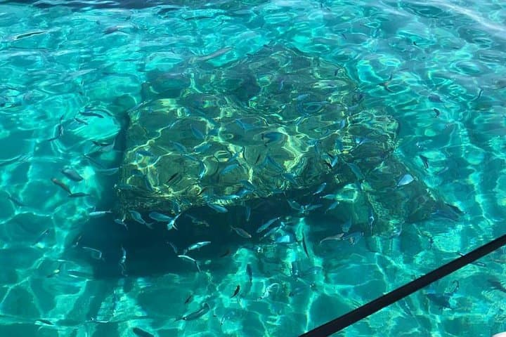 Dinghy Along Costa degli Dei: Snorkel the Coves of Capo Vaticano to Tropea photo 3