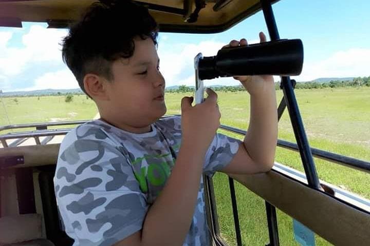 3‑Hour Air Safari to Mikumi National Park from Dar es Salaam
