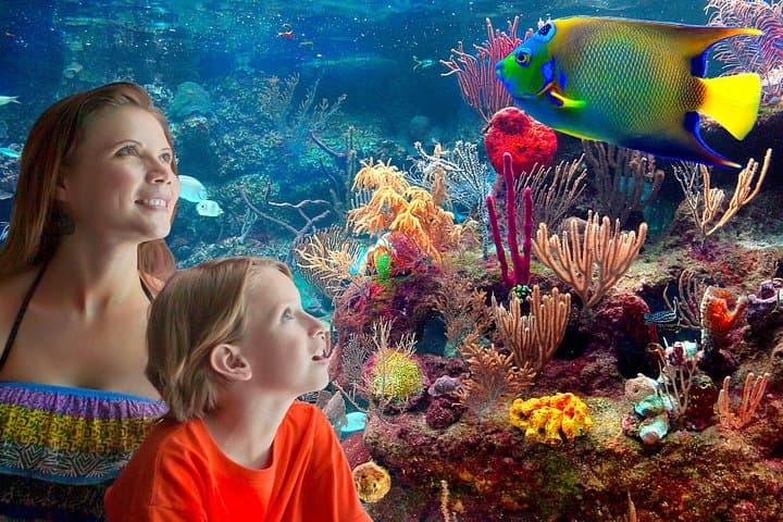 Xcaret Park Full-Day Eco-Cultural Adventure with Underground Rivers & Night Spectacle photo 3