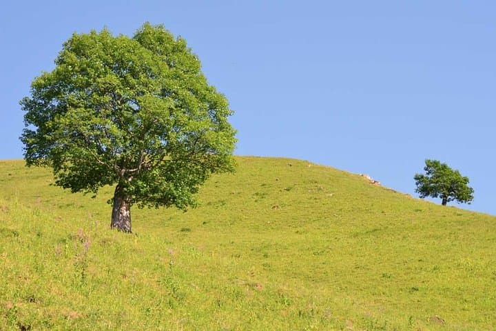 9-Day Northern Azerbaijan Tour: Baku, Qobustan, Sheki & Lahij photo 6