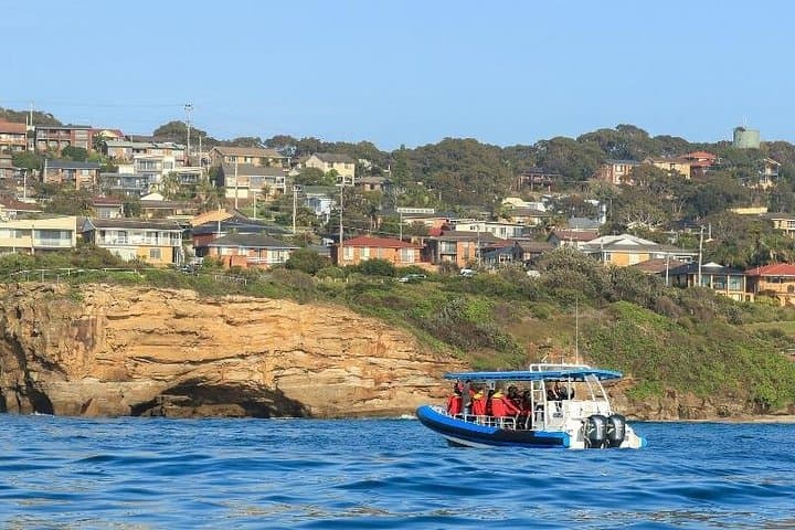 Hunter Coastal Adventure Cruise from Newcastle — Sea Caves, Dolphins & Forts photo 3