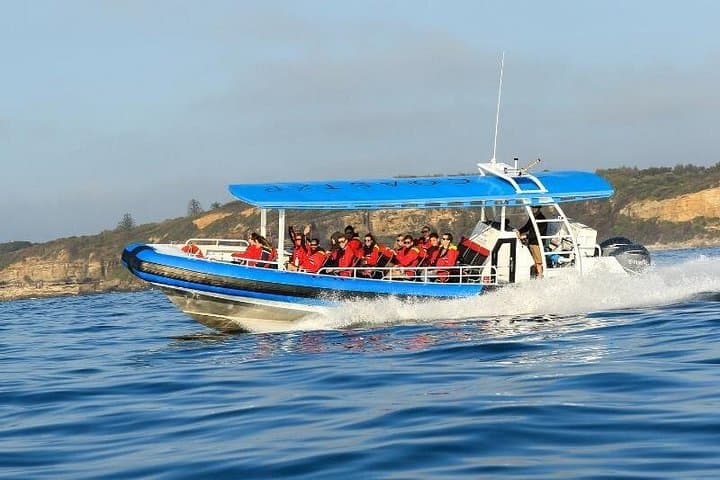 Hunter Coastal Adventure Cruise from Newcastle — Sea Caves, Dolphins & Forts photo 4