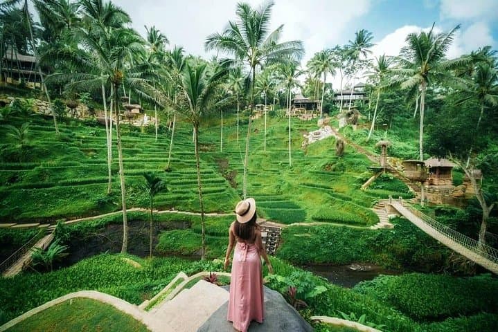 Ubud Monkey Forest, Rice Terraces & Tegenungan Waterfall: Private Day Tour photo 4
