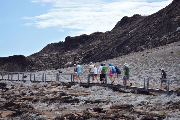 Bartolome Island Day Trip: Hike Pinnacle Rock and Snorkel Sullivan Bay from Puerto Ayora photo 3
