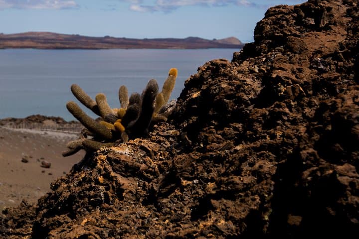 Bartolome Island Day Trip: Hike Pinnacle Rock and Snorkel Sullivan Bay from Puerto Ayora photo 4