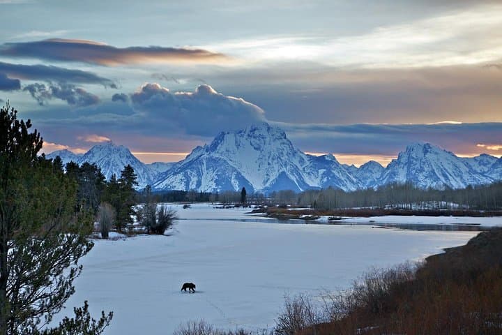 Sunrise Wildlife Safari in Grand Teton National Park — Half-Day Tour from Jackson photo 4