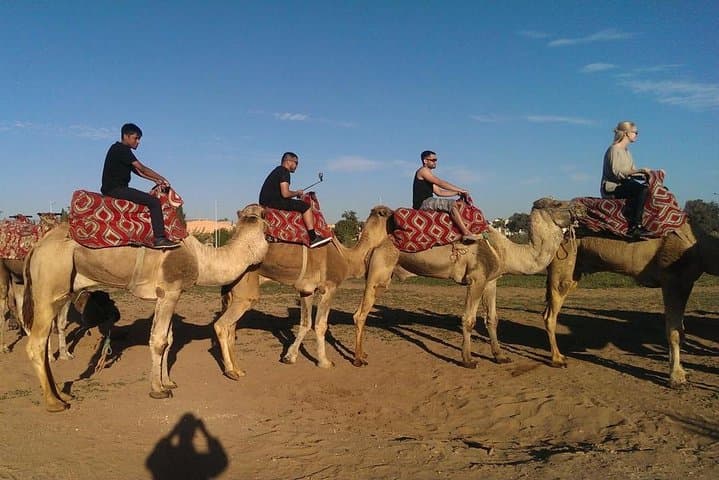 Agadir Dromedary Safari: 2-Hour Camel Ride on the Dunes & Flamingo Flats photo 5