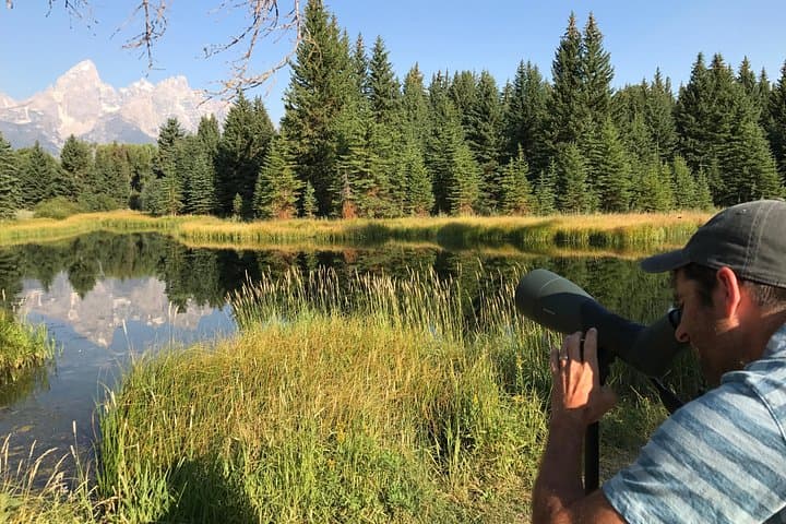 Half-Day Sunset Wildlife Safari in Grand Teton National Park photo 4
